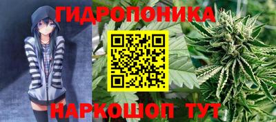 кокаин Кингисепп